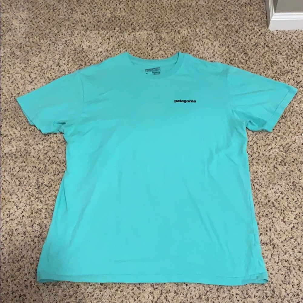 Patagonia tee shirt